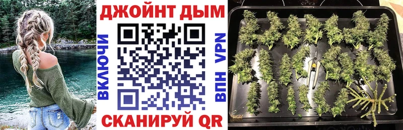 Виды наркоты Циолковский Бутират  Кокаин  Меф мяу мяу  OMG ссылка  APVP  Канабис 