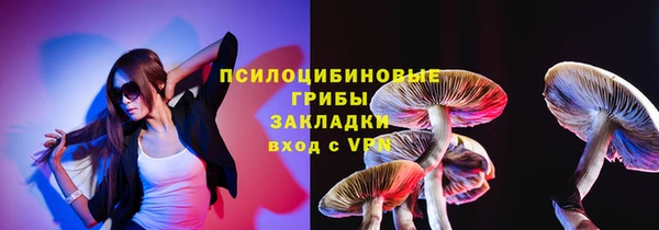 шишки Михайловск