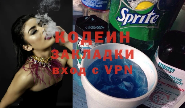 шишки Михайловск