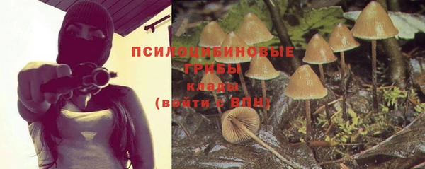 кокаин колумбия Михайлов
