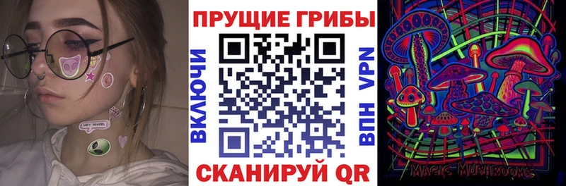 где продают наркотики  Циолковский  Галлюциногенные грибы мицелий 